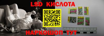 трава Сланцы