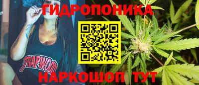 дурь Славгород