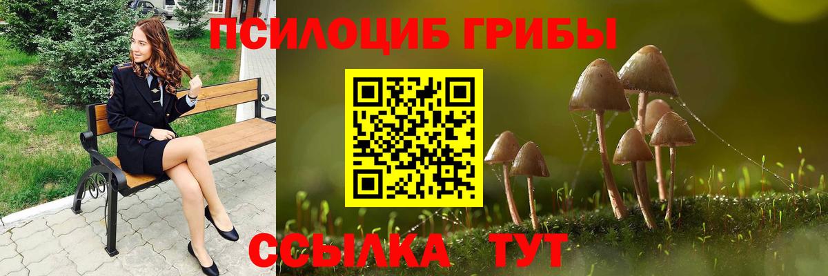 Галлюциногенные грибы Magic Shrooms Новоалександровск